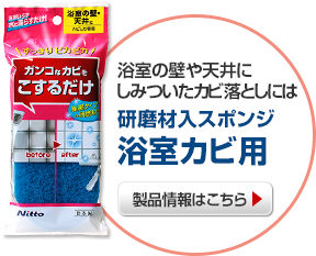 浴室の壁や天井にしみついたカビ落としには　研磨材入スポンジ浴室カビ用