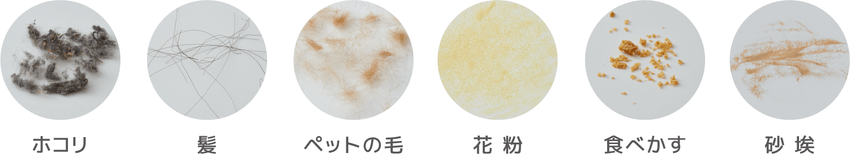 チリホコリ・髪・ペットの毛・花粉・食べかす・砂埃